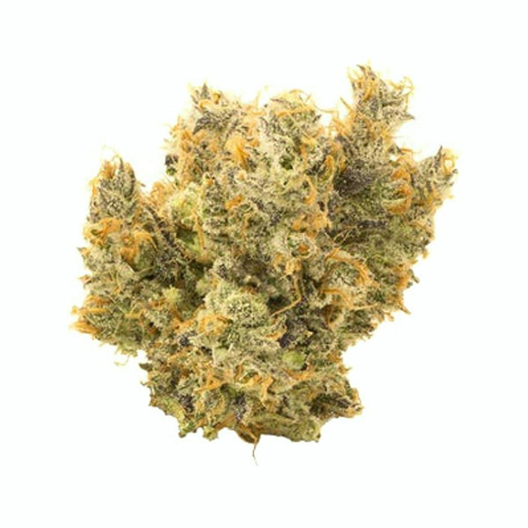 Fritter Licker | 1/8th