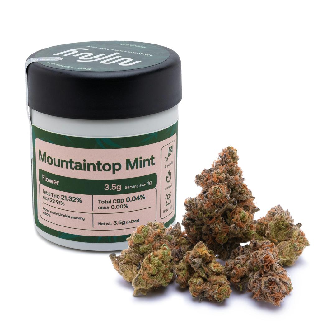 Mountaintop Mint Flower