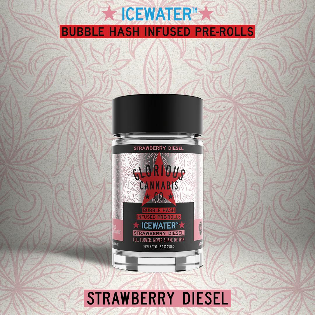 Strawberry Diesel Multipack | Bubble Hash Infused | Glorious Cannabis Co.