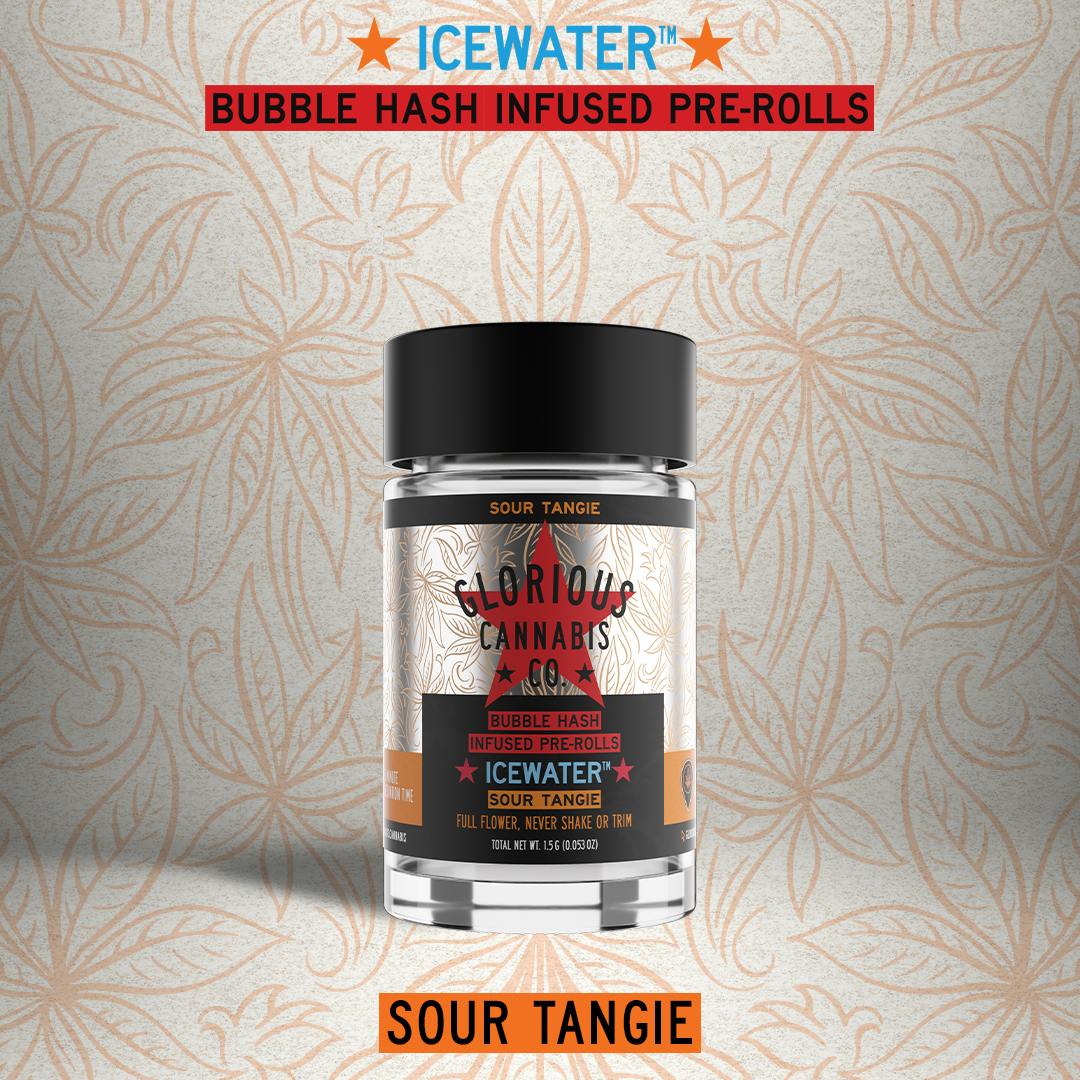 Sour Tangie Multi Pack | Bubble Hash Infused | Glorious Cannabis Co.