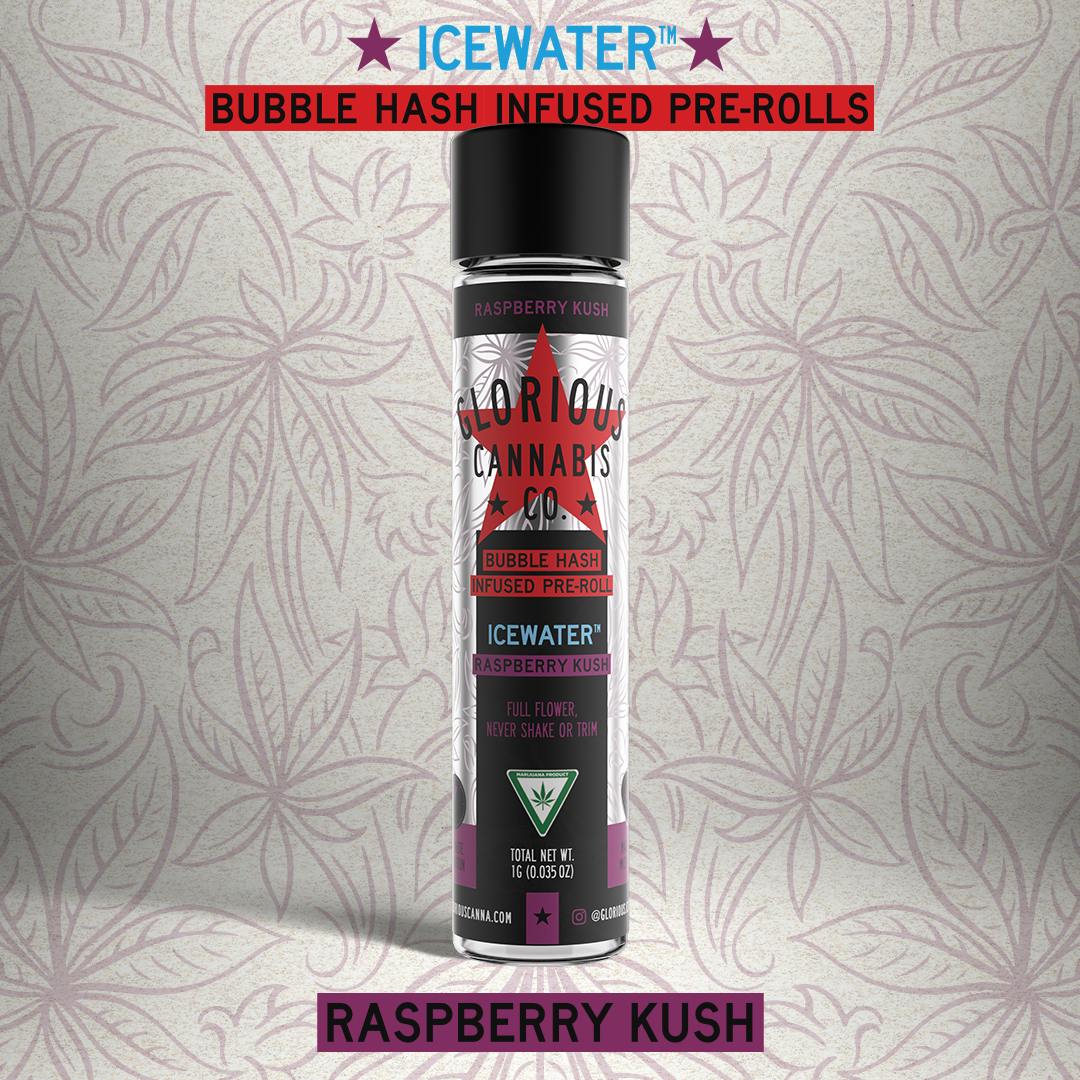 Raspberry Kush 1G | Bubble Hash Infused Pre-Roll | Glorious Cannabis Co.