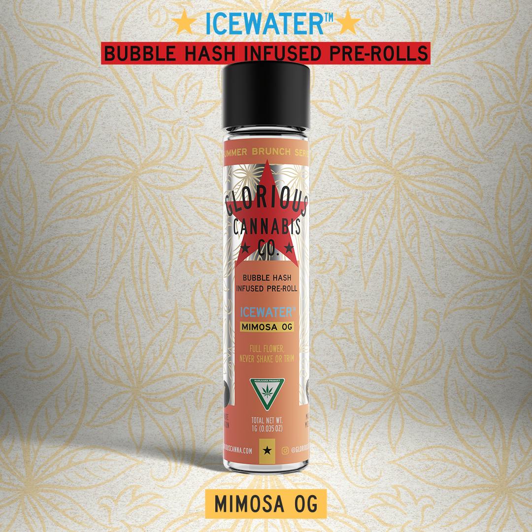 Mimosa OG 1G | Summer Brunch Series | Bubble Hash Infused Pre-Roll