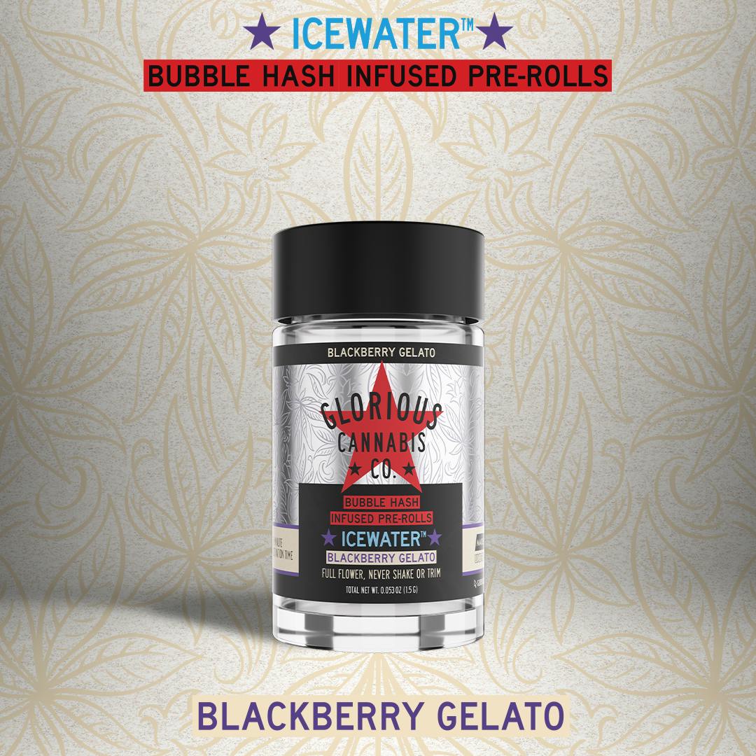 Blackberry Gelato Multi Pack | Bubble Hash Infused | Glorious Cannabis Co.