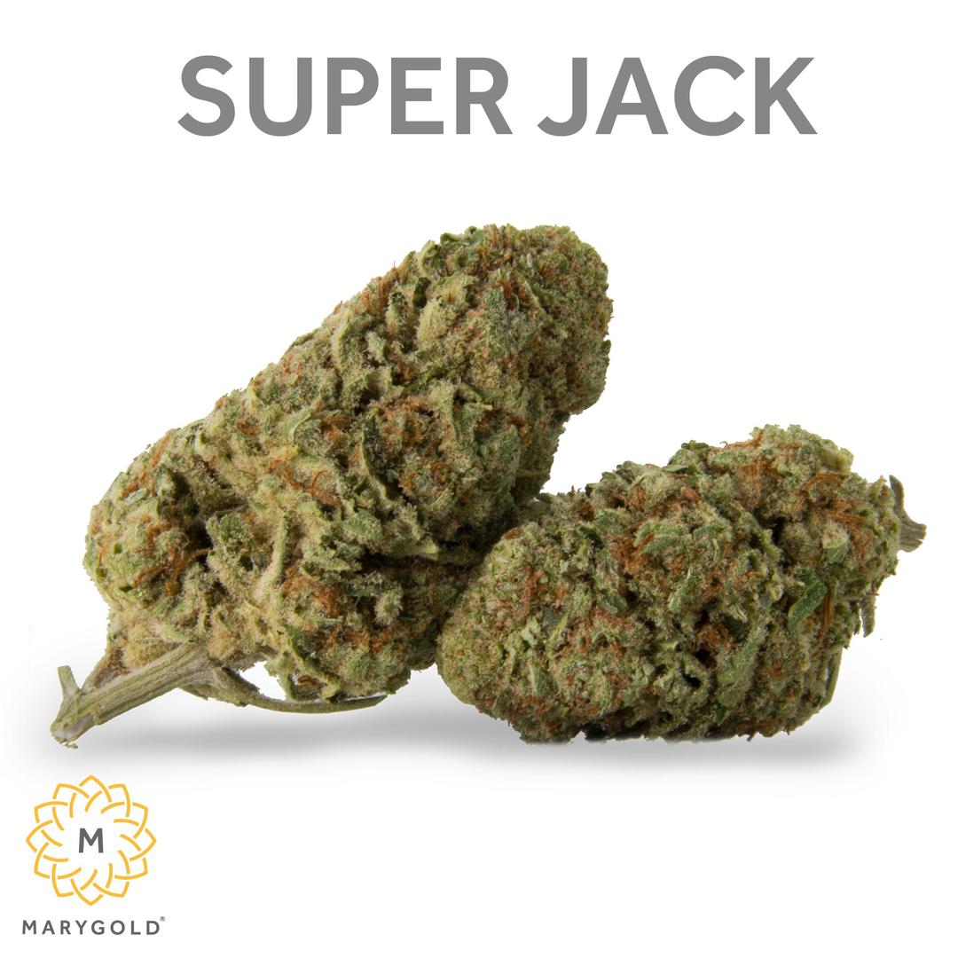Super Jack 3.5g (Sativa 29% THC)