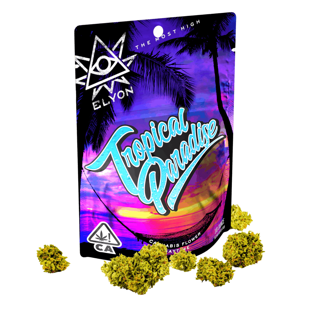 Tropical Paradise