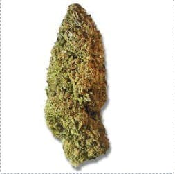 Exotix - Pluto Runtz (I) - 3.5g