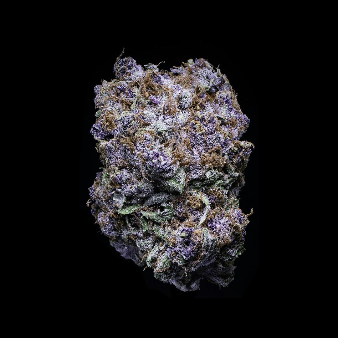 Blueberry Tide