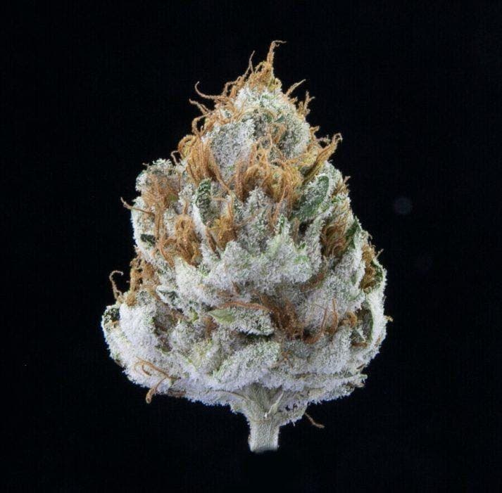Pacific Blue