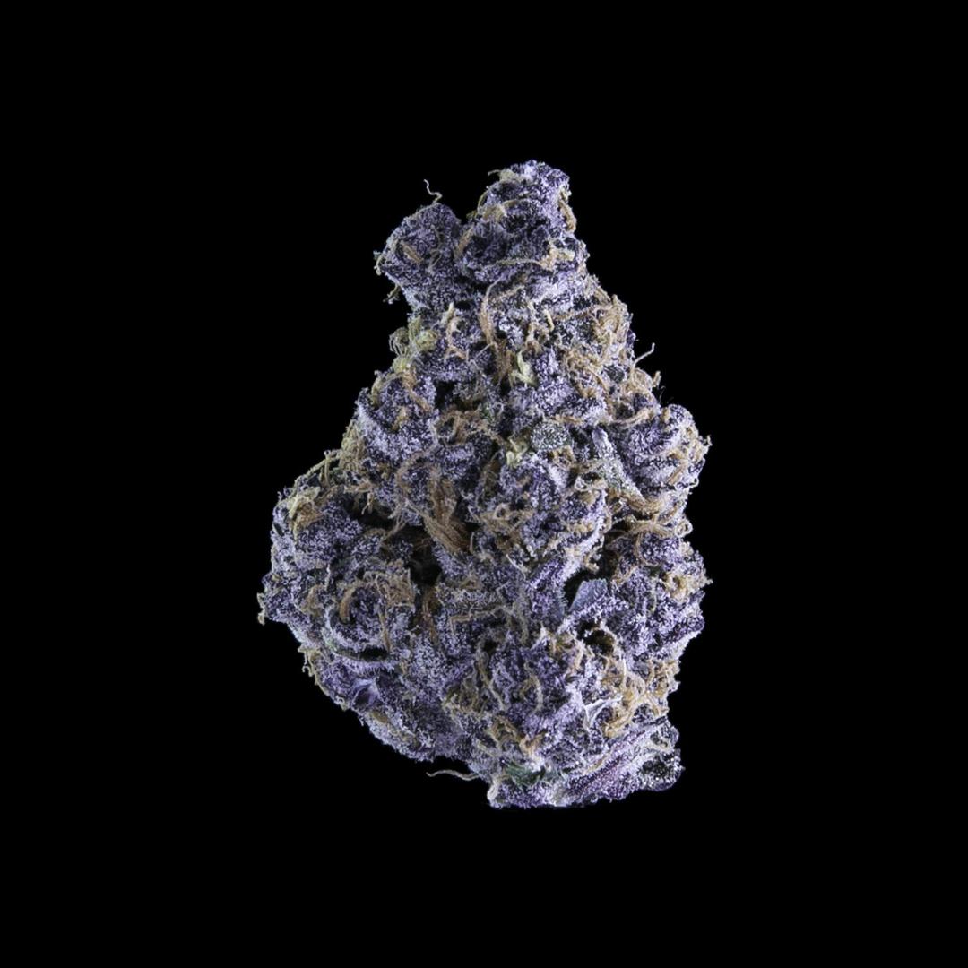 Pacific Purple