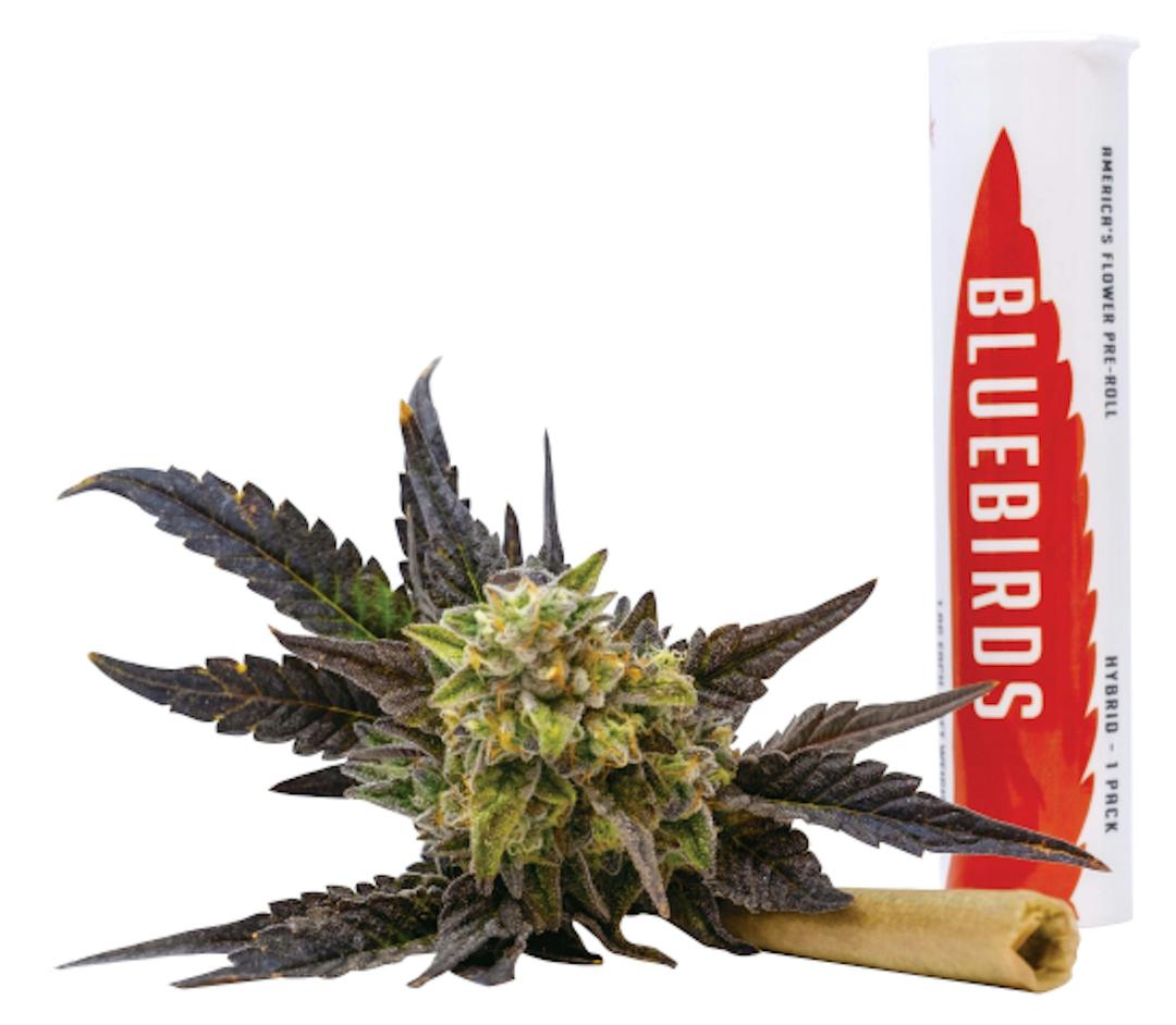 Dante's Inferno Preroll 1g