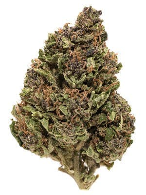 Cresco 1lb Sativa Flower