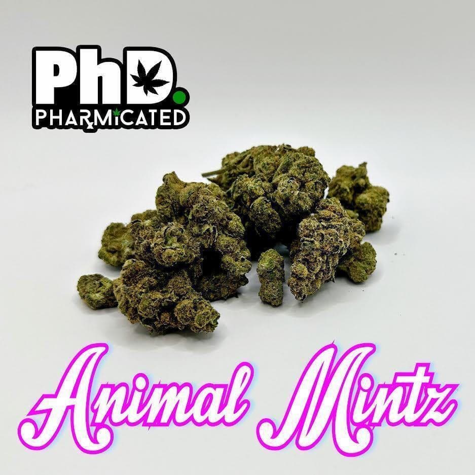 PhD Indoor Flower - Animal Mintz (H)