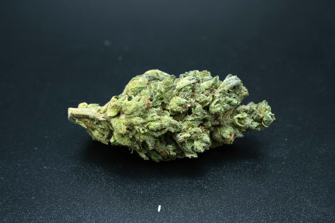High Society 1 Gram (31%THC,HYBRID)