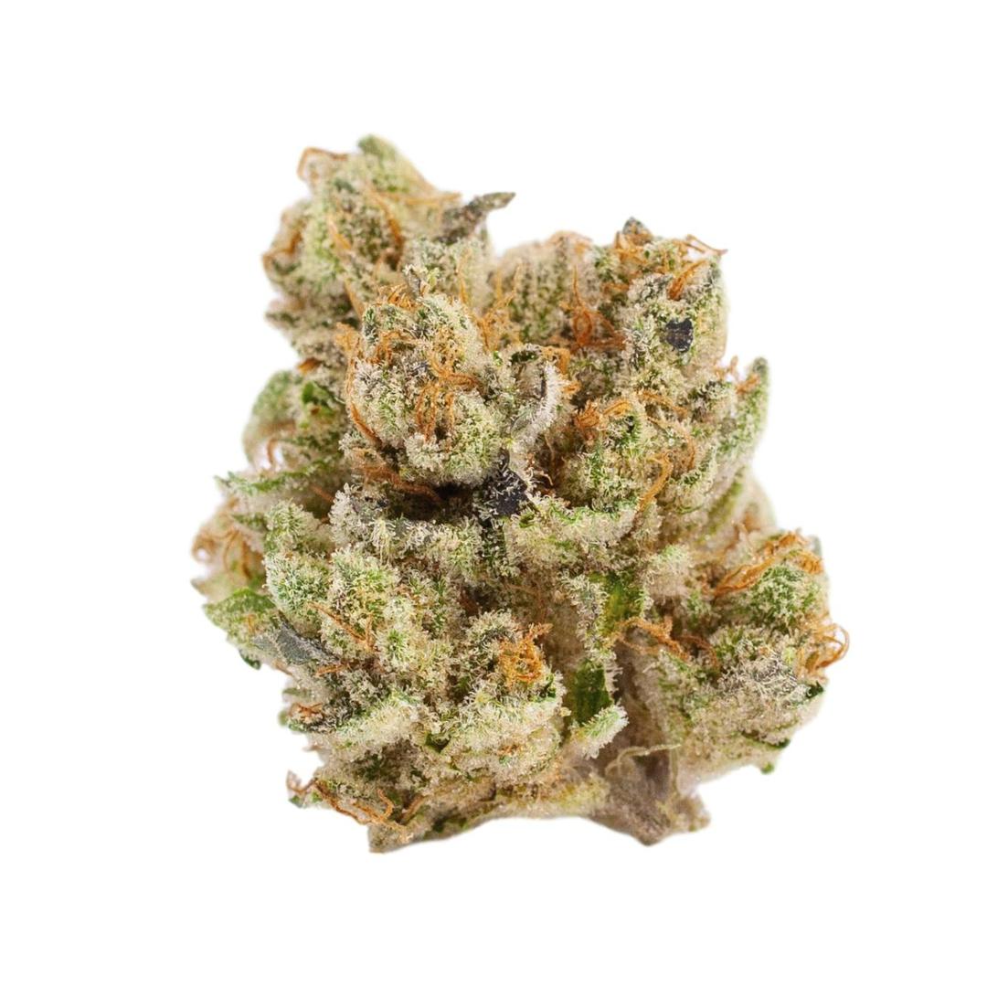 Mimosa