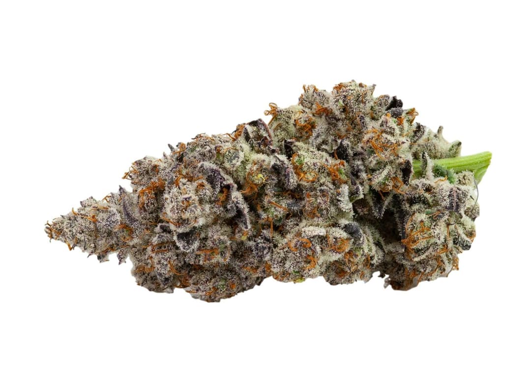 Poison Fruit