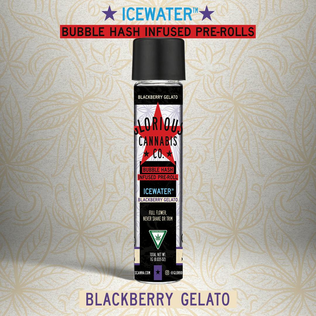 Blackberry Gelato 1G | ICEWATER Bubble Hash Infused | Glorious Cannabis Co.