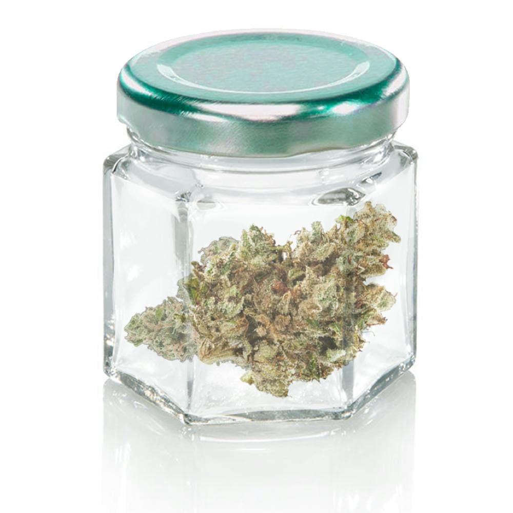 Peach Crescendo - 7g Flower