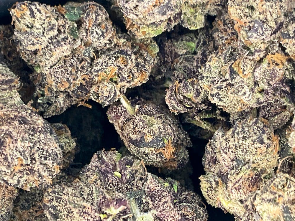 Lemon Cherry Gelato 5g