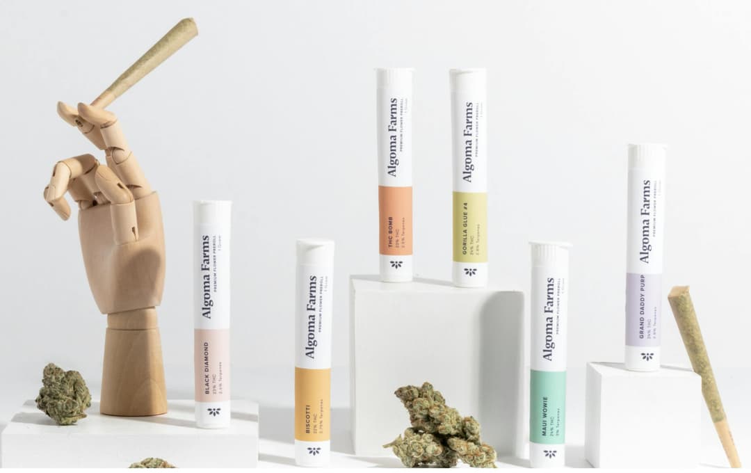Gorilla Glue #4 | Premium Cannabis Pre Roll [1g]