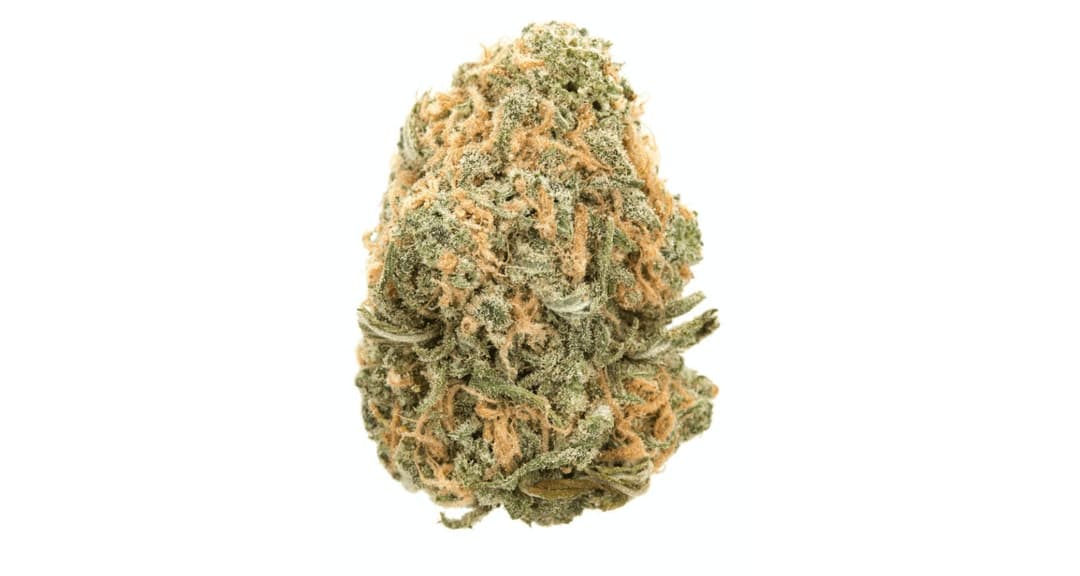 Blue Venom (Blue Dream X White Widow) - 1g Flower