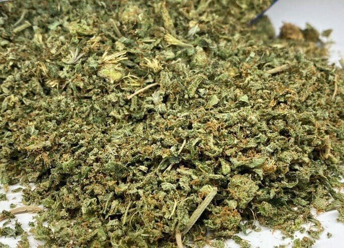 Blue Venom (Blue Dream X White Widow) - 14g Sugar Shake