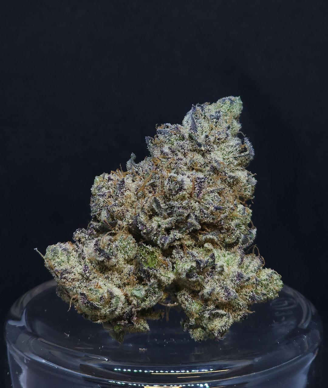 Hash Burger 1g Flower