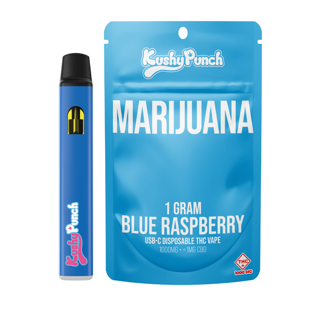 1G Kushy Punch Vape - Blue Raspberry