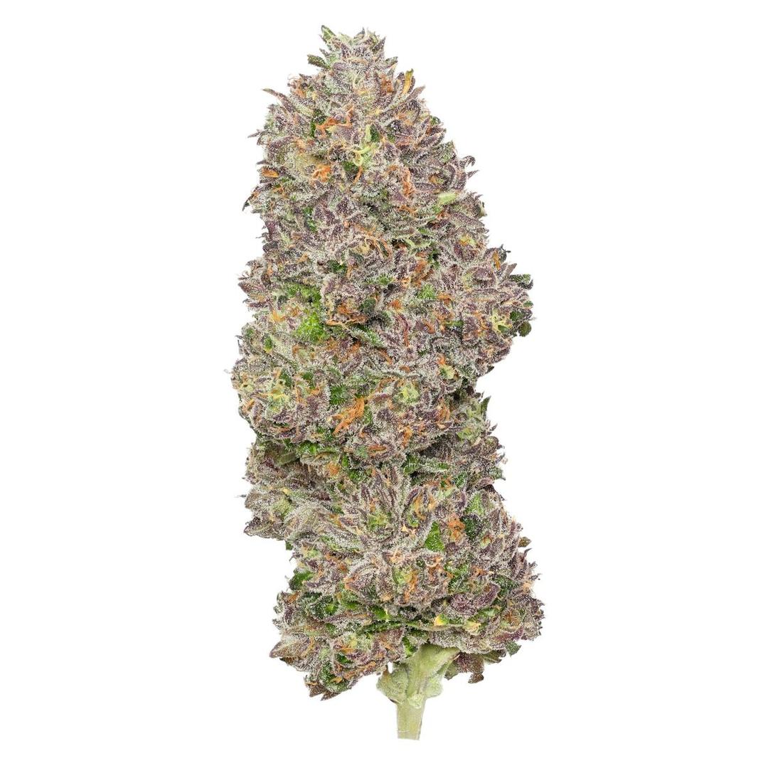 Jokerz Deli Flower