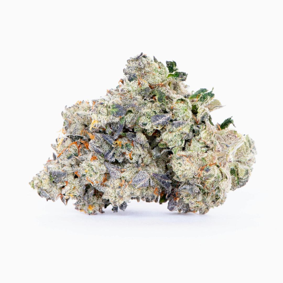 Shy Guy | 3.5g Indoor