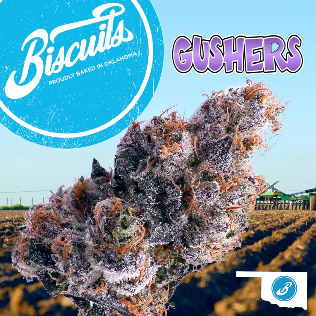 Gushers - Flower