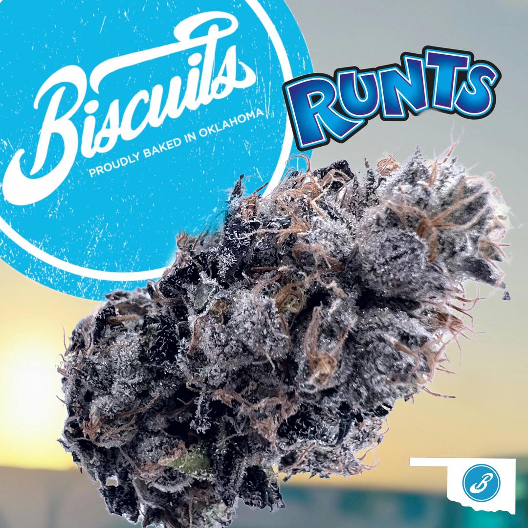 Runtz - Flower