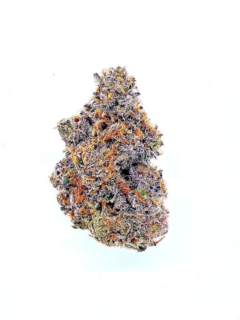 Stankasaurus Flower