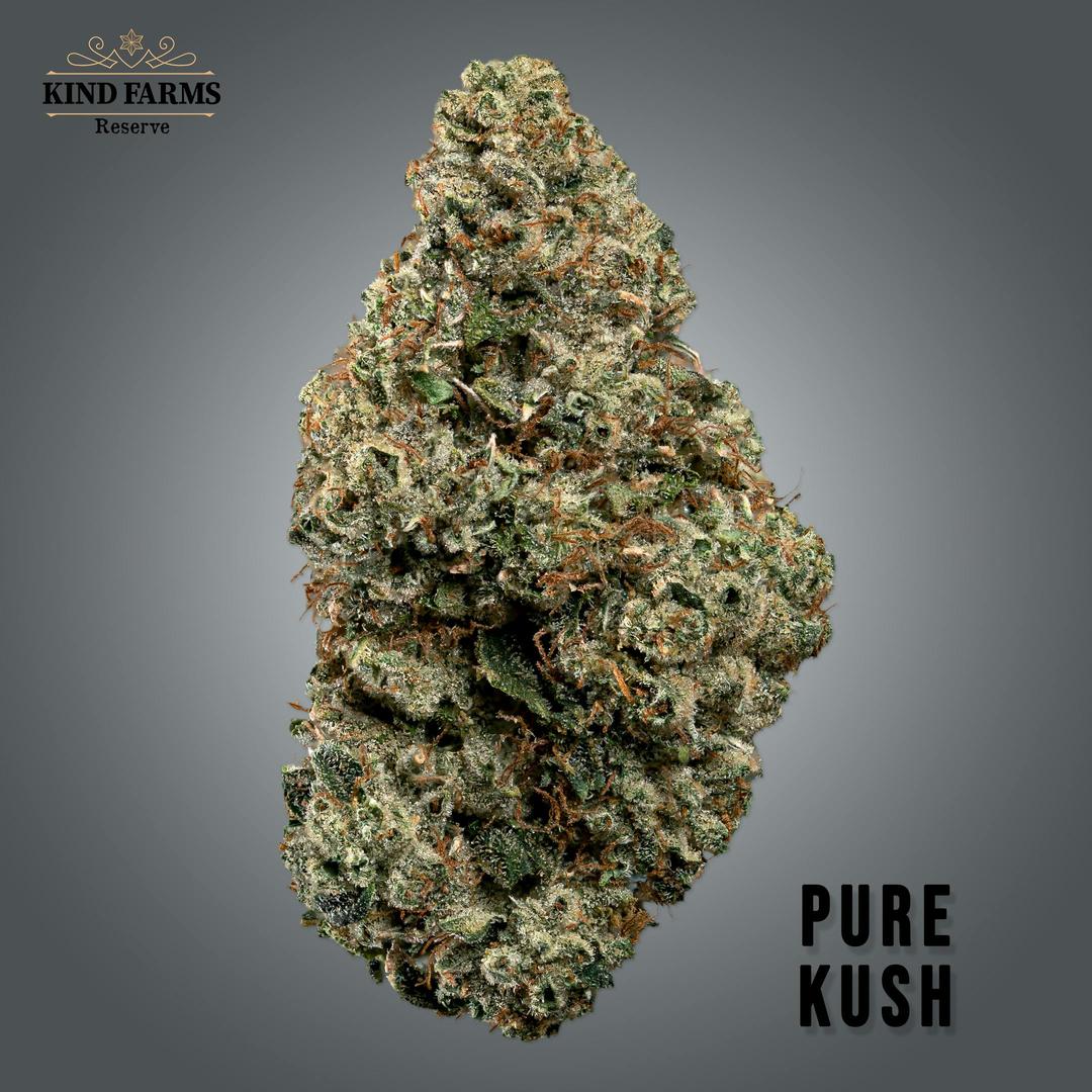 Pure Kush - Kind Farms Reserve