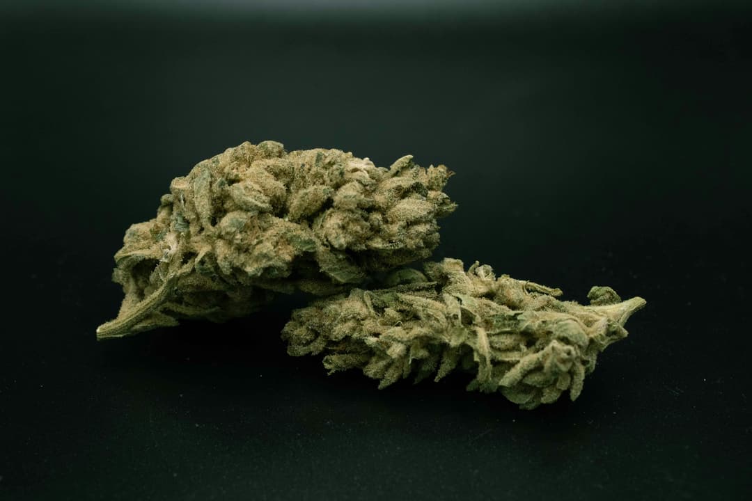 Secret Weapon 1/4 Ounce/7Grams(30%THC,SATIVA)