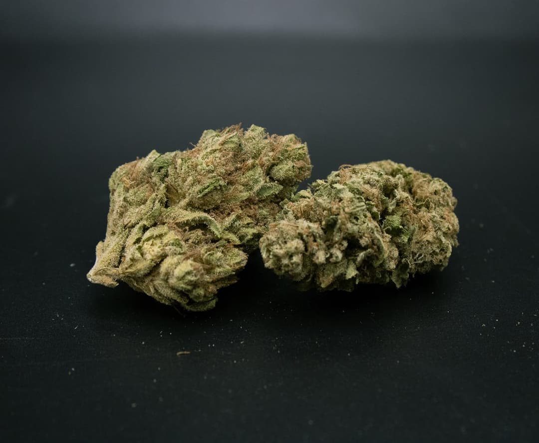 Hella Jelly 1 Gram (30%THC,SATIVA)