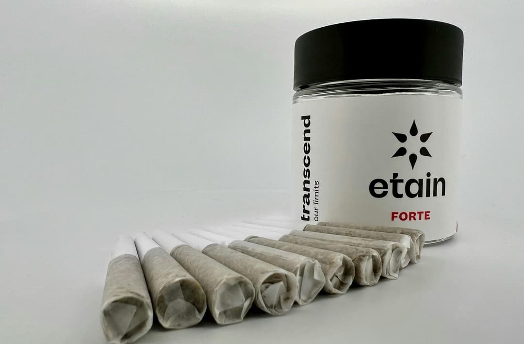 Forte Mini Pre-Rolls - Dosidos (DSD)