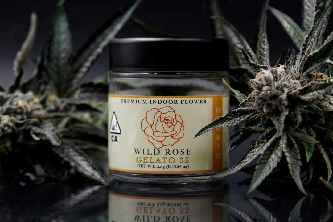 Premium Indoor Gelato #33 - Hybrid Flower Jar 3.5g