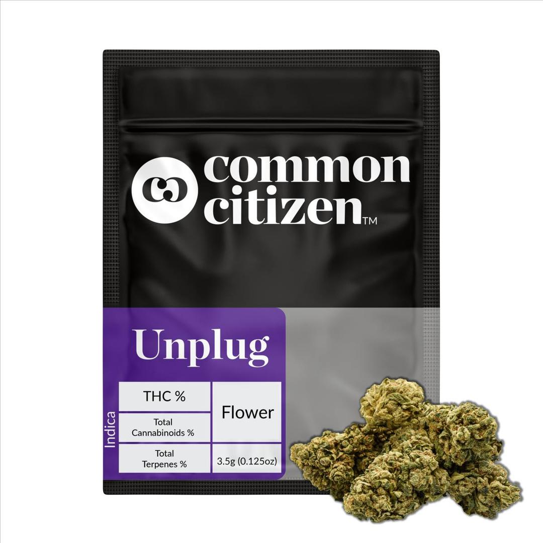 Common Citizen Fried Ice Cream PrePackaged 3.5g