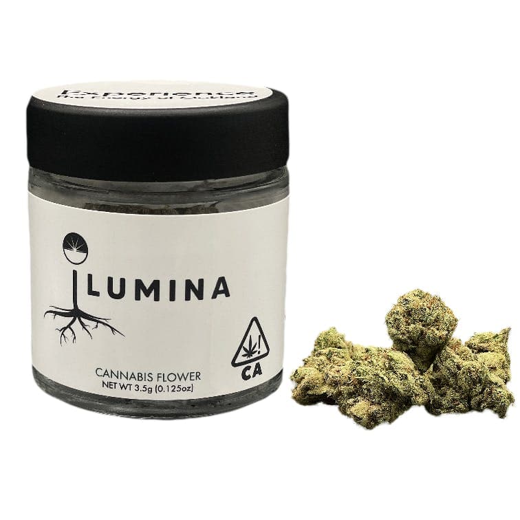 Fruit Tart Flower | 3.5g