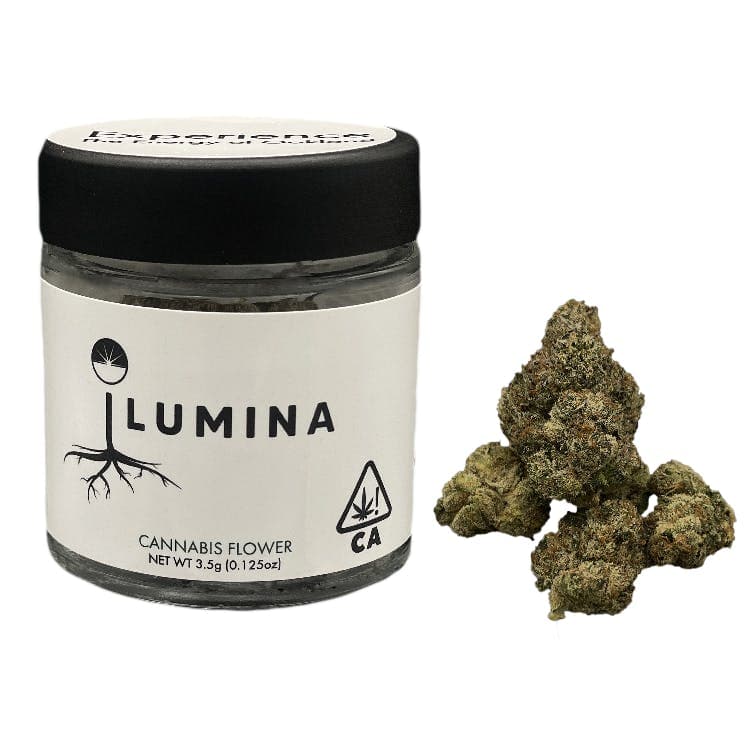 Pink Himalaya Flower | 3.5g
