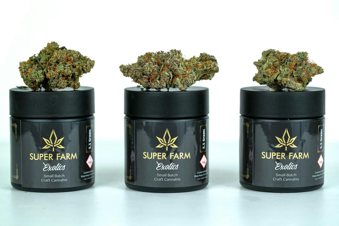 Exotics - Gas Truffle 3.5G Glass Jar