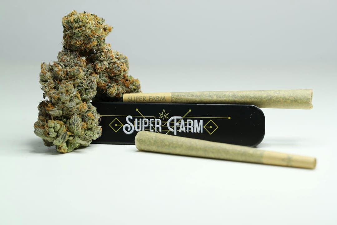 Exotics - Peanut Butter Pie 2 - 1G Black Tin