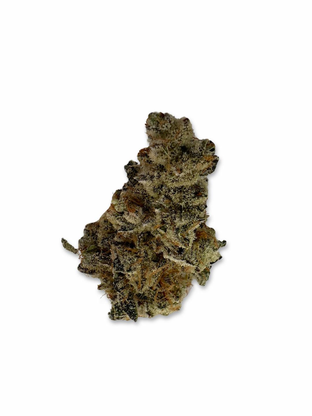 East Coast Brunch - Fuzzy Roots Organics