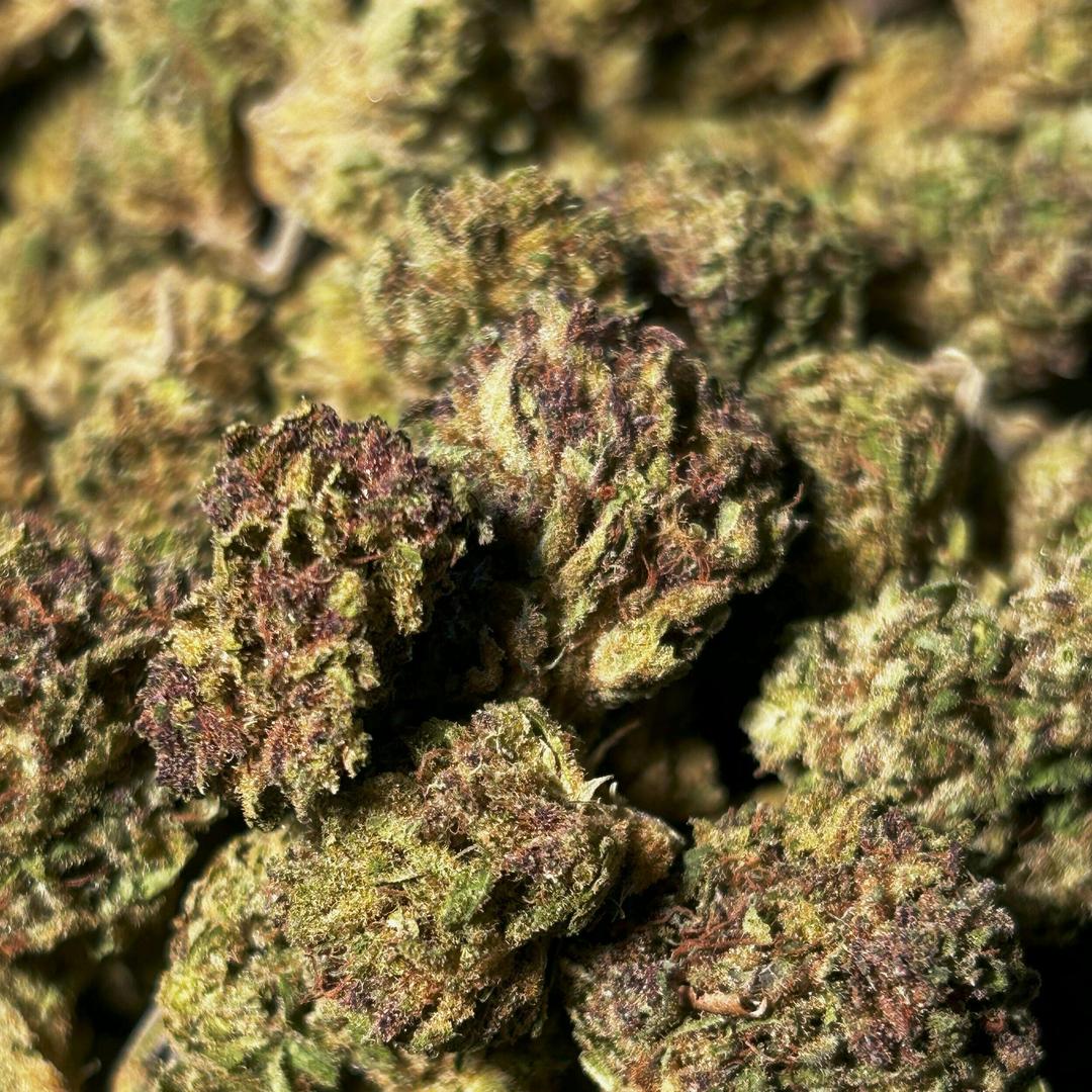 $75 Ounce of the Day - Ancient OG Project - SMALLS ONLY