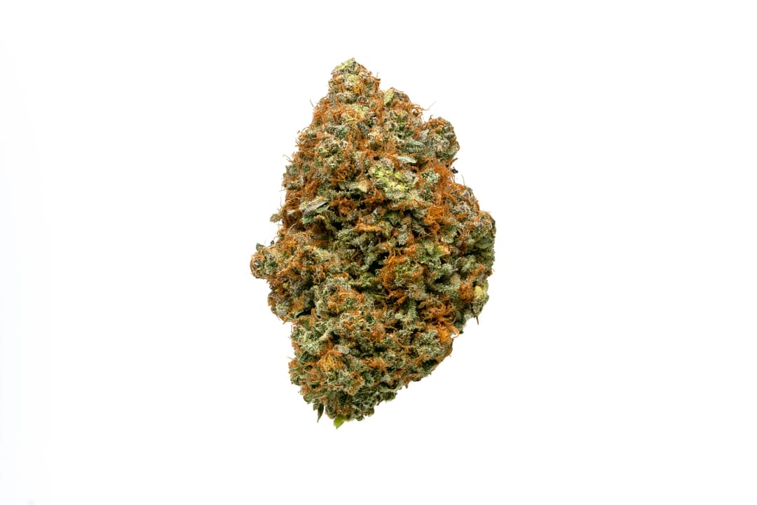 Lemongrass - 3.5g Indoor Flower - Sativa