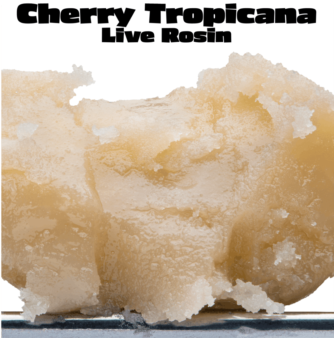Cherry Tropicana Indoor Live Rosin 149-90u Tier 1