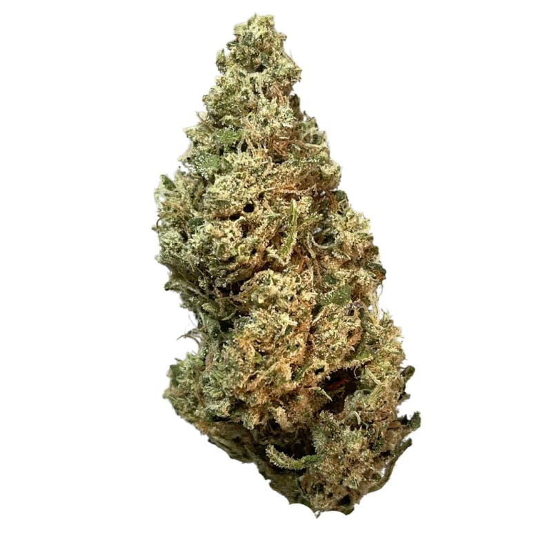 Exotix - Jack the Ripper (S) - 14g