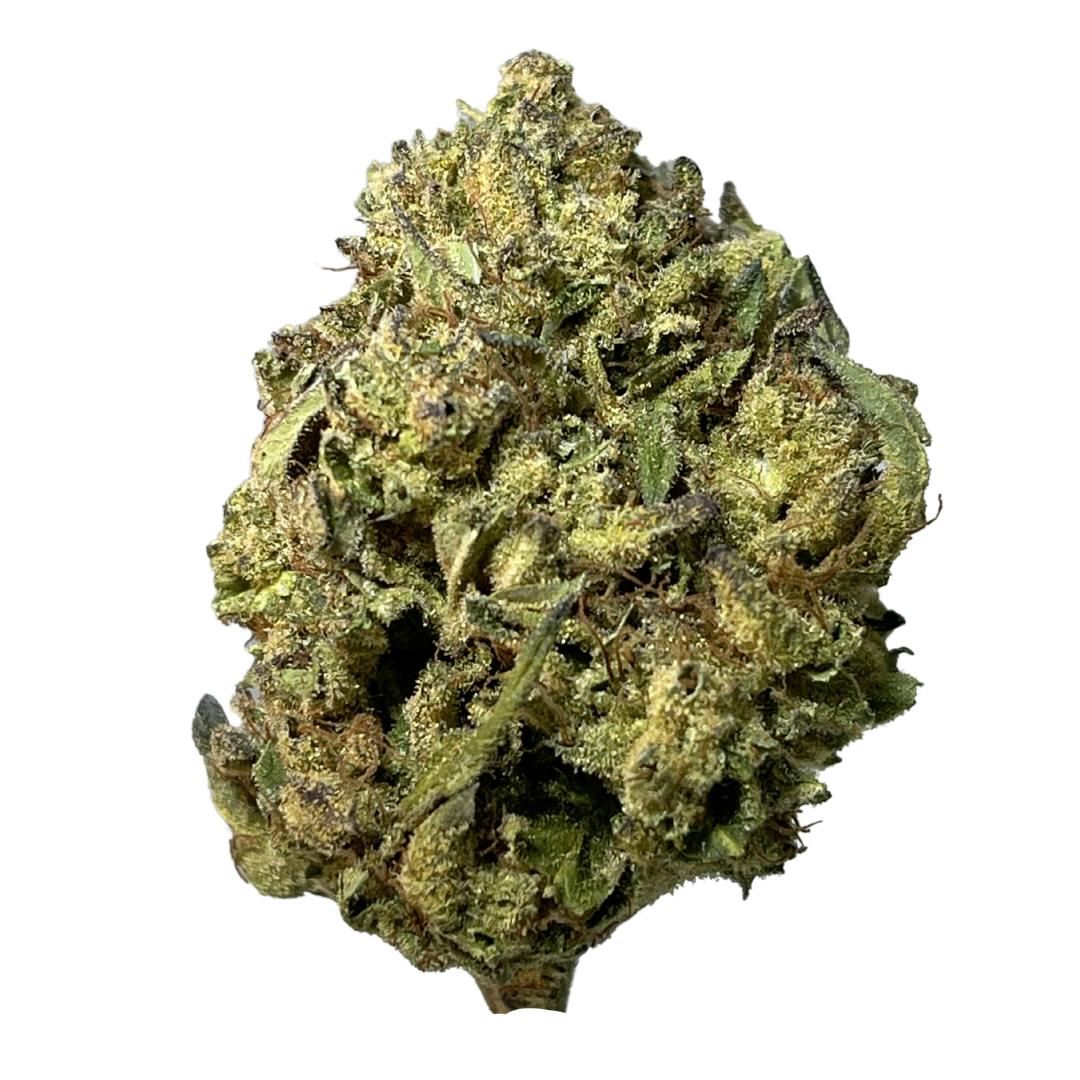 Exotix - Tropical Gelato (H) - 14g
