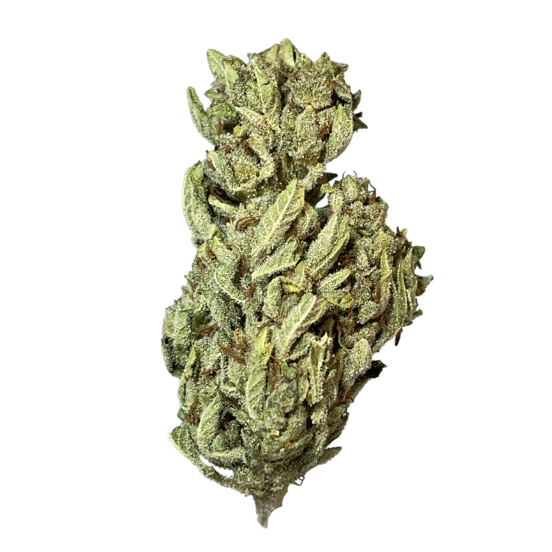 Exclusive - Sunset Sherbet (H) - 28g