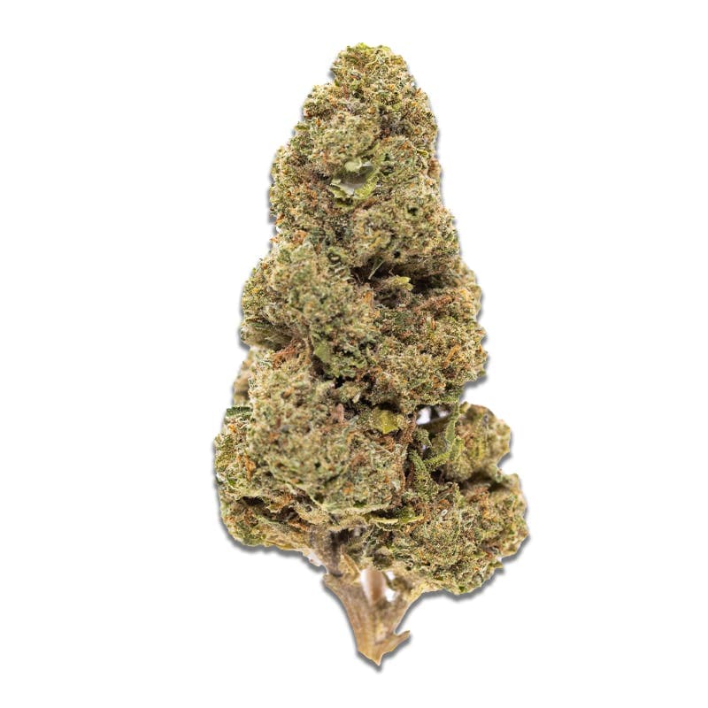 Black - Jelly Rancher (S) - 14g